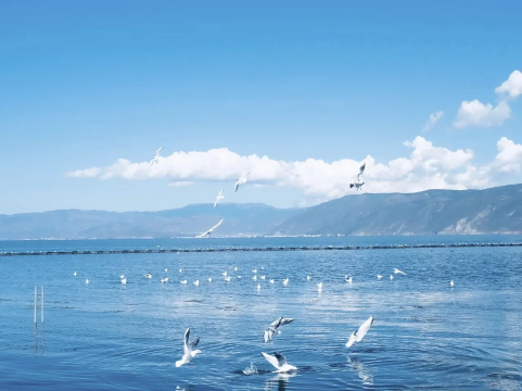 大理境云花舍·Seascape海景设计师丨New轻奢度假美宿°(洱海店)图片