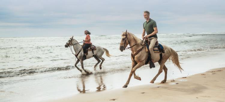 Club Med地中海俱乐部·米切斯度假村(Club Med - Michès Playa Esmeralda)图片