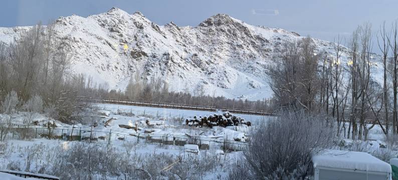 可可托海别居逸阁酒店图片
