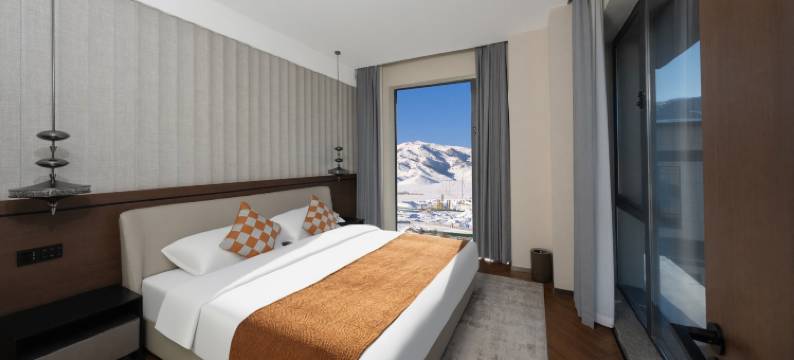 蓝湖国际酒店B座(赛里木湖景区店)图片