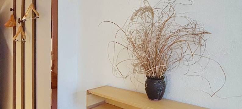 禹州偶遇酒店(胖东来禹州店)图片