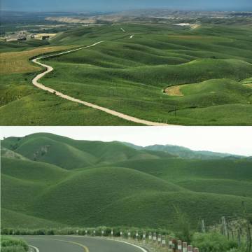 霍城青源梅舍·静谧时光庭院图片