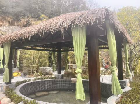 武功山凤颐温泉酒店图片