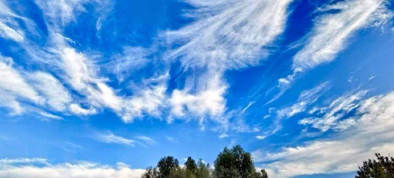 抚仙湖招财猫精品民宿图片