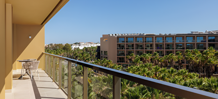 Flamingos Salgados图片