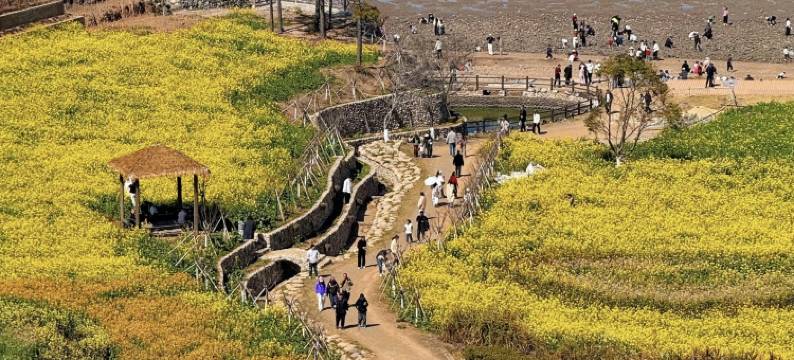 朵高四季觅享D⁺酒店(宁波象山客运东站象山港路店)图片