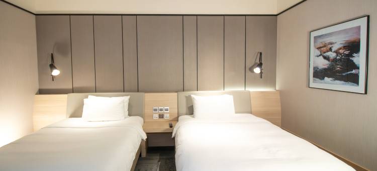 樟宜机场中转酒店 - 1 号航站楼(Changi Transit Hotel - Terminal 1)图片
