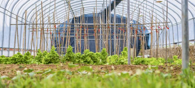 怡然云声山谷(云居滑雪场店)图片