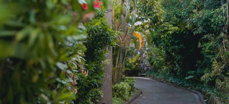 乌鲁瑟加拉豪华套房和别墅度假村(Ulu Segara Luxury Suites & Villas)图片