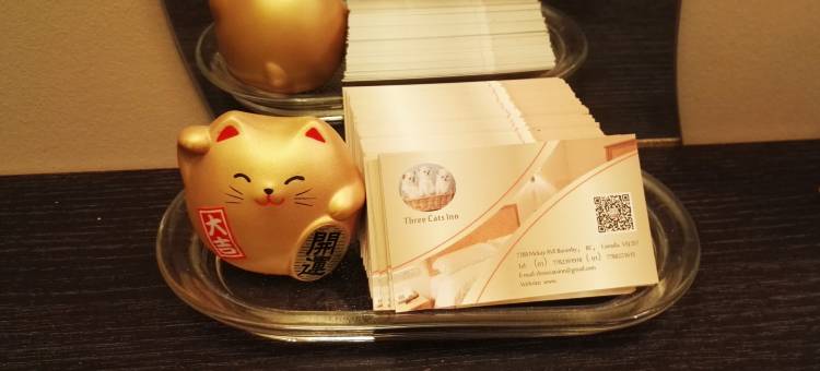 温哥华三只小猫民宿(Sally's House)图片