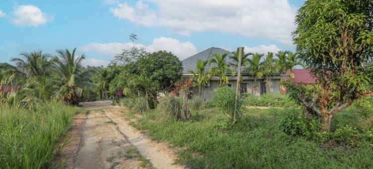 Hotel O Romauli民宿 Kampung Radja(Hotel O Homestay Romauli Kampung Radja)图片