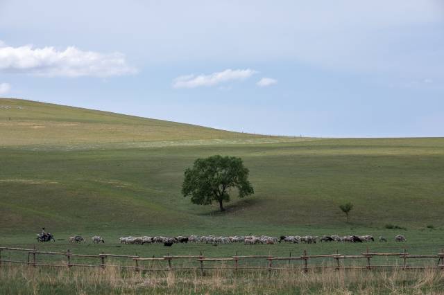 大乐之野(乌兰毛都草原宿集店)图片