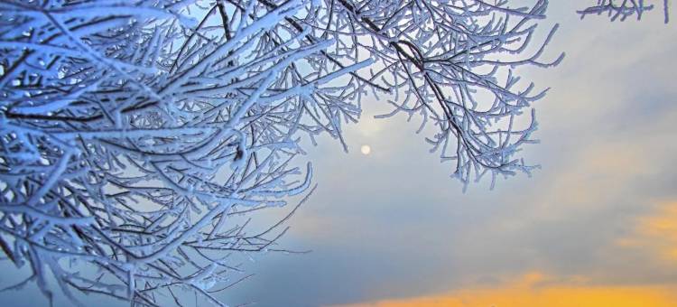 如家商旅酒店(吉林江南店)图片