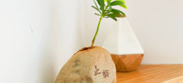泥洼优选酒店(昆明高铁南站店)图片