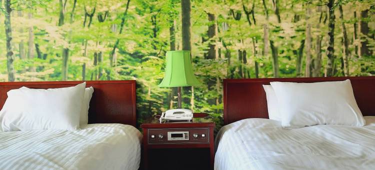 鸟取大山美居温泉度假酒店(Mercure Tottori Daisen Resort & Spa)图片