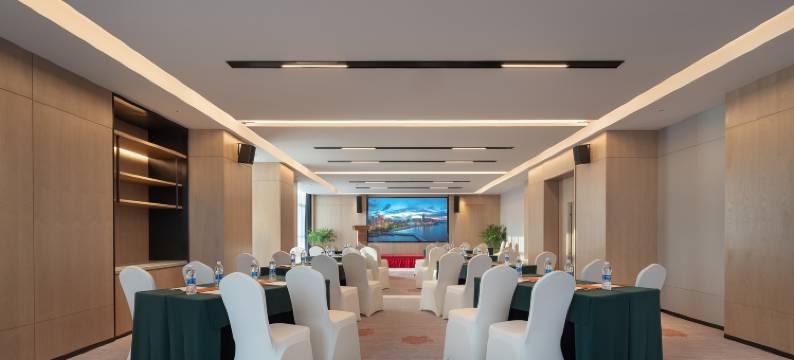 长沙机场豪生酒店(黄花机场T1航站楼店)图片