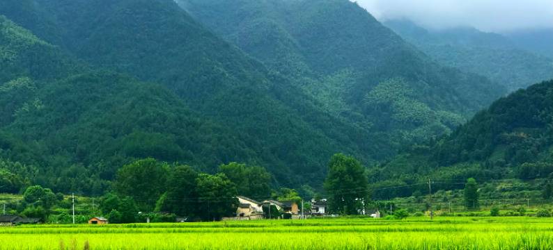 黄山猪栏酒吧乡村客栈老油厂店图片