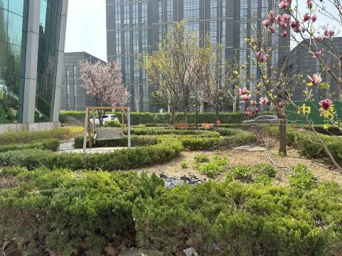 BELLA HOTEL 百丽酒店(东营广饶县政府国际会展中心店)图片