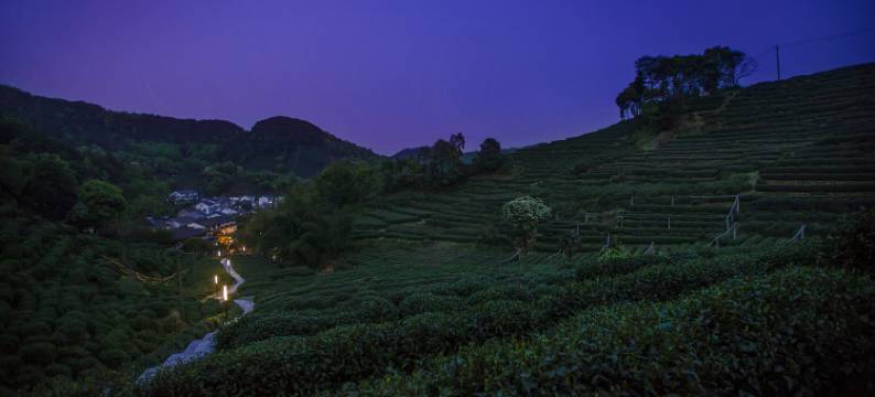 杭州龙井茂居酒店图片