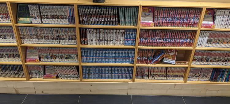 大阪肥后桥梅尔迪亚酒店(将更名Rakuten STAY URBAN 大阪肥后桥)(Hotel Meldia Osaka Higobashi (Rakuten STAY URBAN Osaka Higobashi from March 3, 2026))图片