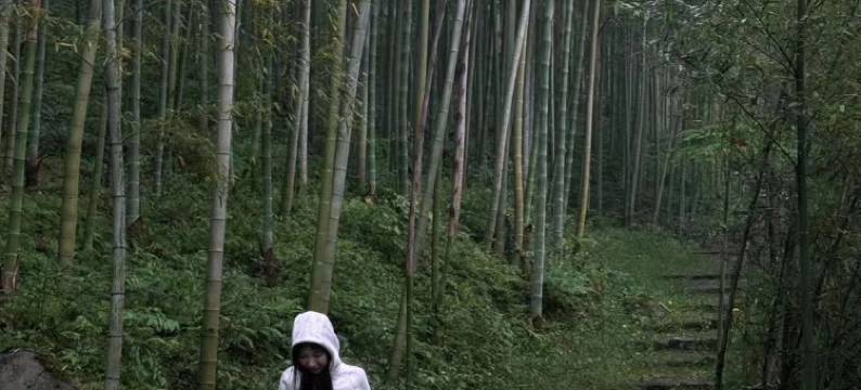 山外儿的山·流宿山奢温泉度假美宿图片