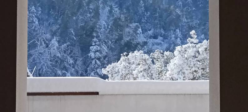 梅岭楠坪古村·青语民宿图片