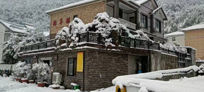 安吉招羊树民宿图片