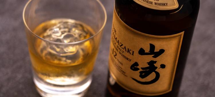 静冈大山酒店(Hotel Grand Hills Shizuoka)图片