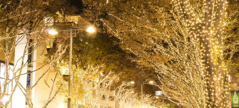 东京繁花青山酒店(Hotel Allamanda Aoyama Tokyo)图片