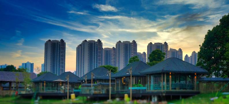 理想东方椰林稻香乡村民宿图片