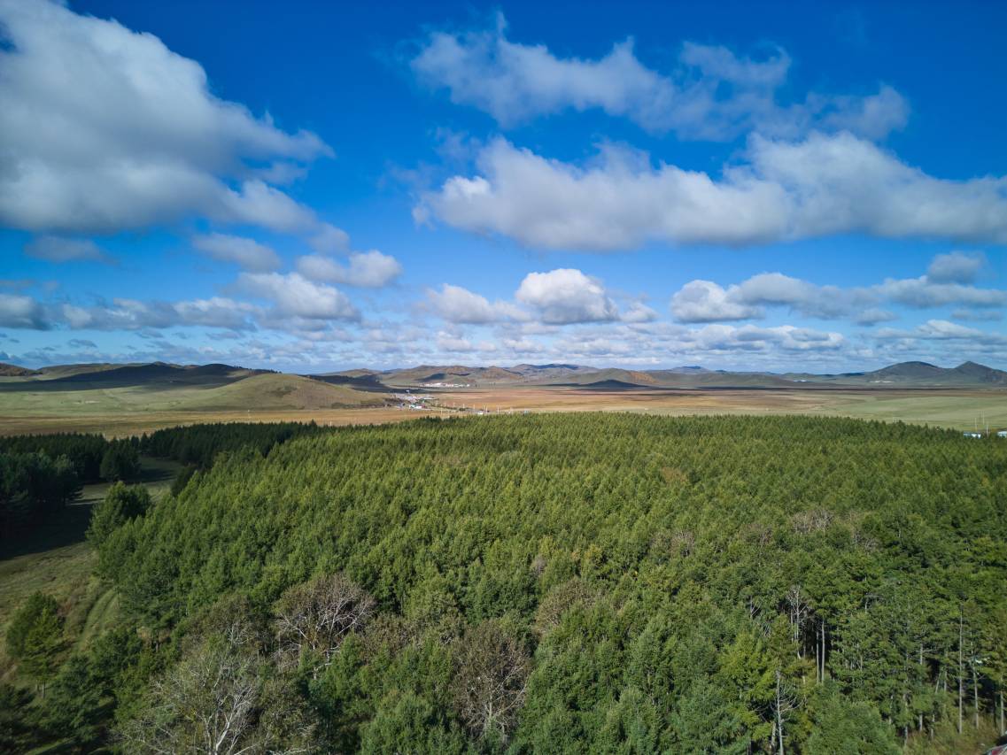 花筑·澜奢庭院美宿(乌兰布统草原景区店)图片