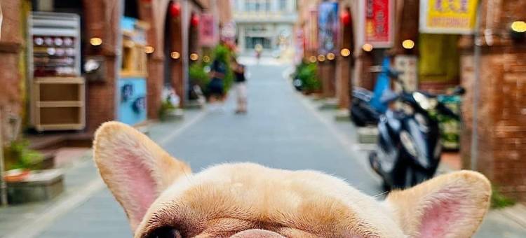 金门禧乐民宿图片