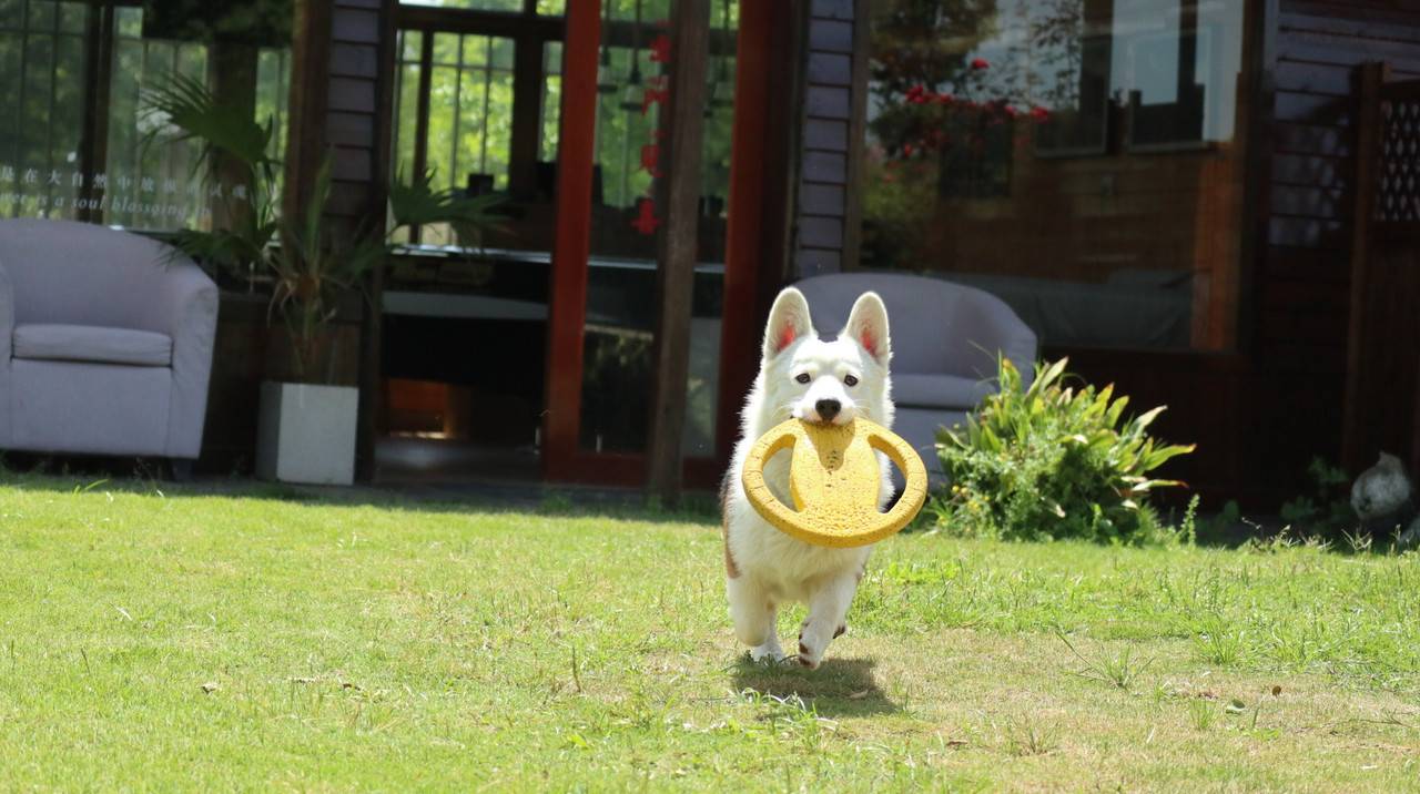 花筑·一丁乡舍民宿(江边丁坝店)图片