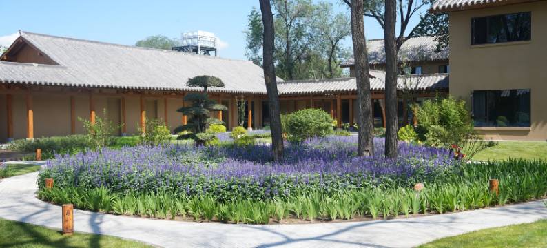 贾村枕泉山庄民宿图片