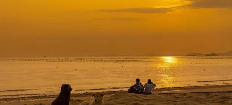 湄洲岛禧来禧往民宿(莲池澳沙滩店)图片