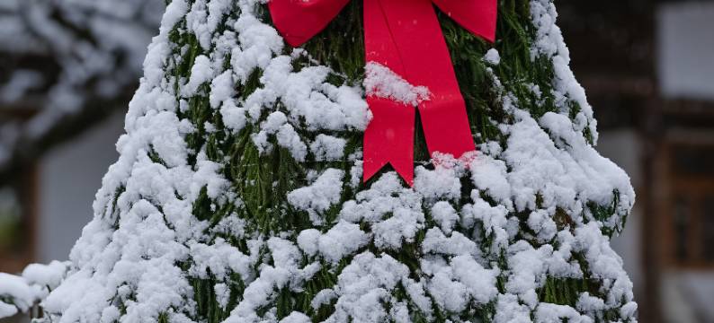 海螺沟弥生民宿(燕子沟店)图片