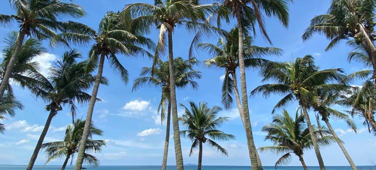 可可特尔海岸海滩度假村(Shoreland Beach Resort by Cocotel)图片