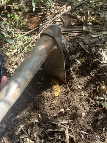 大乐之野·勿舍(宁波店)图片