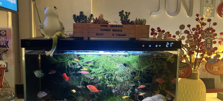 枫雅酒店(市中心广场市立医院店)图片