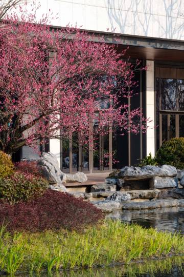 苏州四季酒店图片