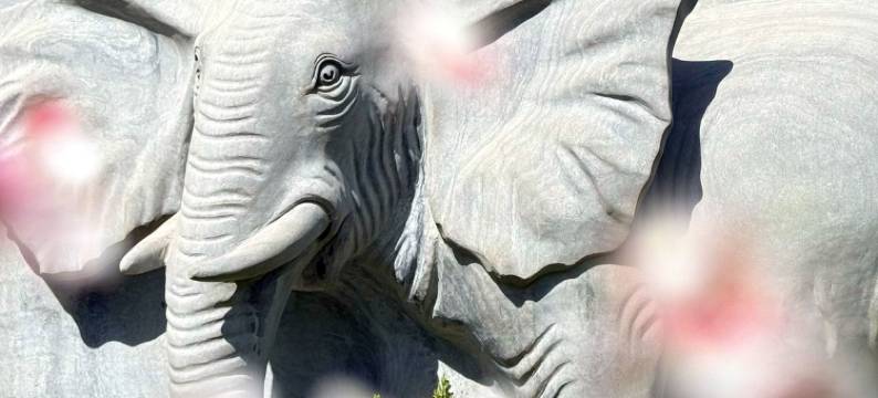 天津赛象酒店(奥体中心智慧山店)图片