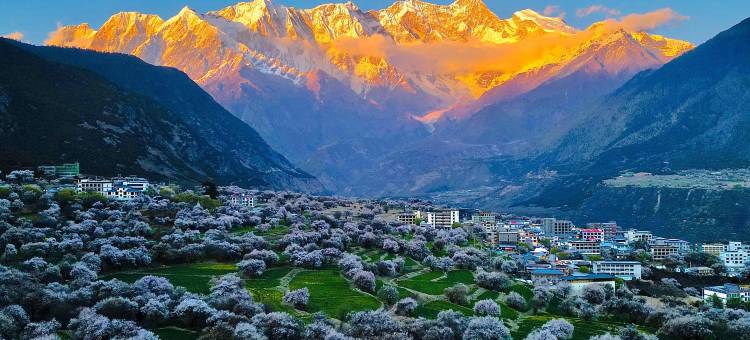 索松山居(索松店)图片