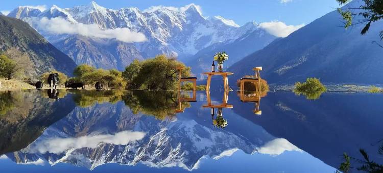 桃花韵酒店(索松店)图片