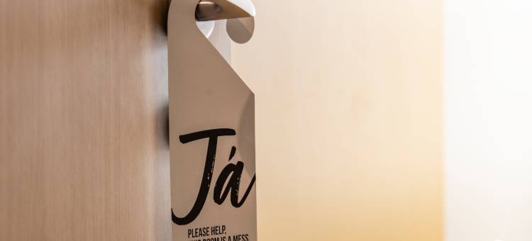 劳加弗格尔中央酒店(Center Hotels Laugavegur)图片