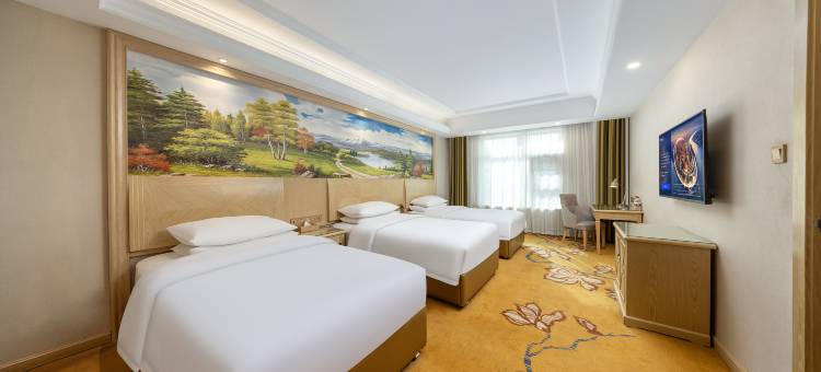 维也纳酒店(玉树唐蕃古道店)图片