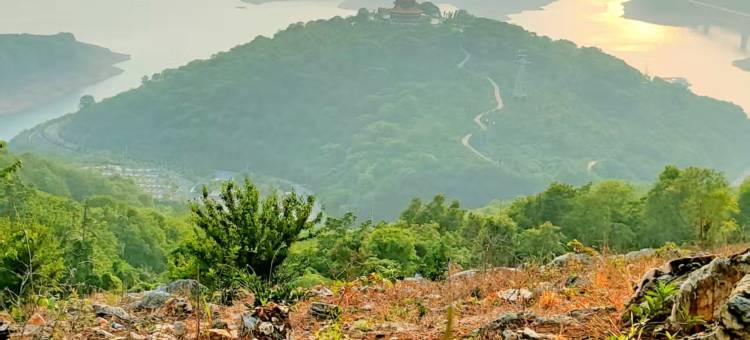 丹江口盛景怡家酒店(老广场店)图片