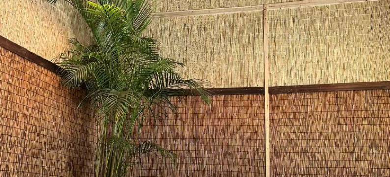 小院时光民宿图片