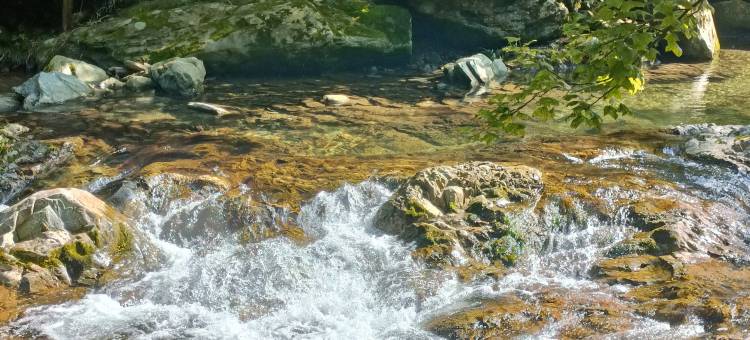 花筑奢·黄山苦株树故事民宿图片