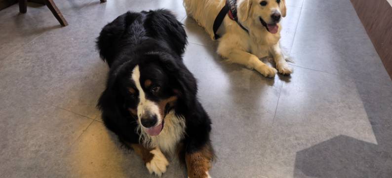 春水居民宿(双龙镇店)图片