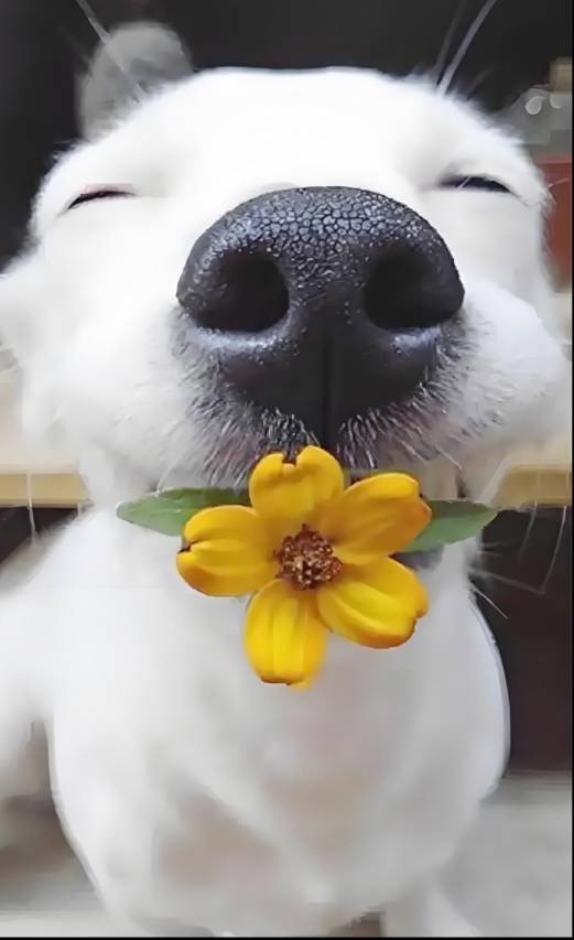 如家酒店·NEO(万宁华亚欢乐城高铁站店)图片